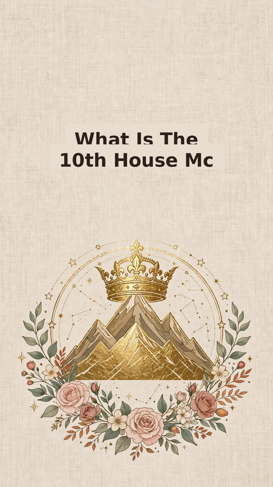 10. Ev (MC) Nedir? Kariyer ve Kamu İmajı